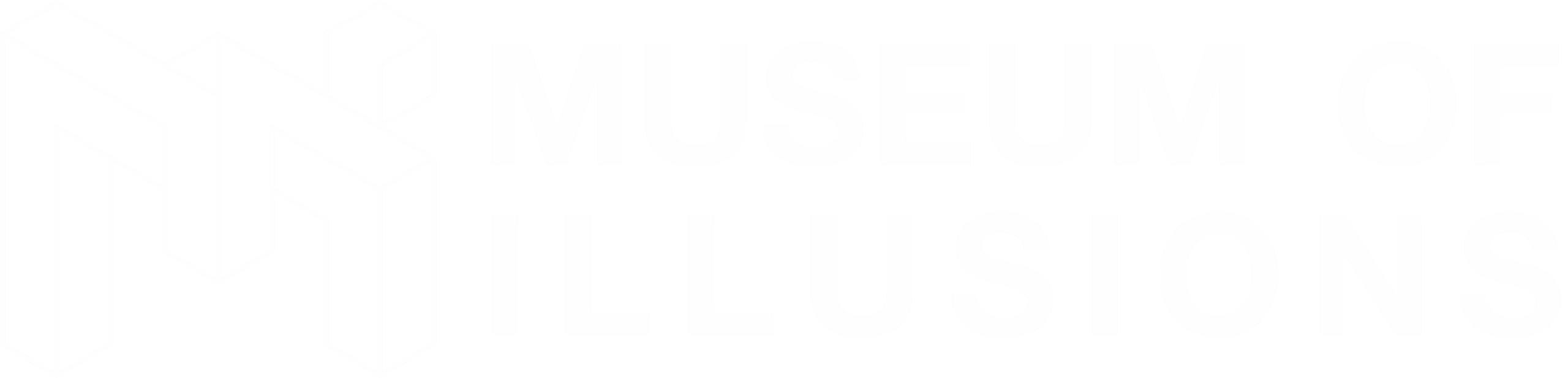 Museum of Illusions