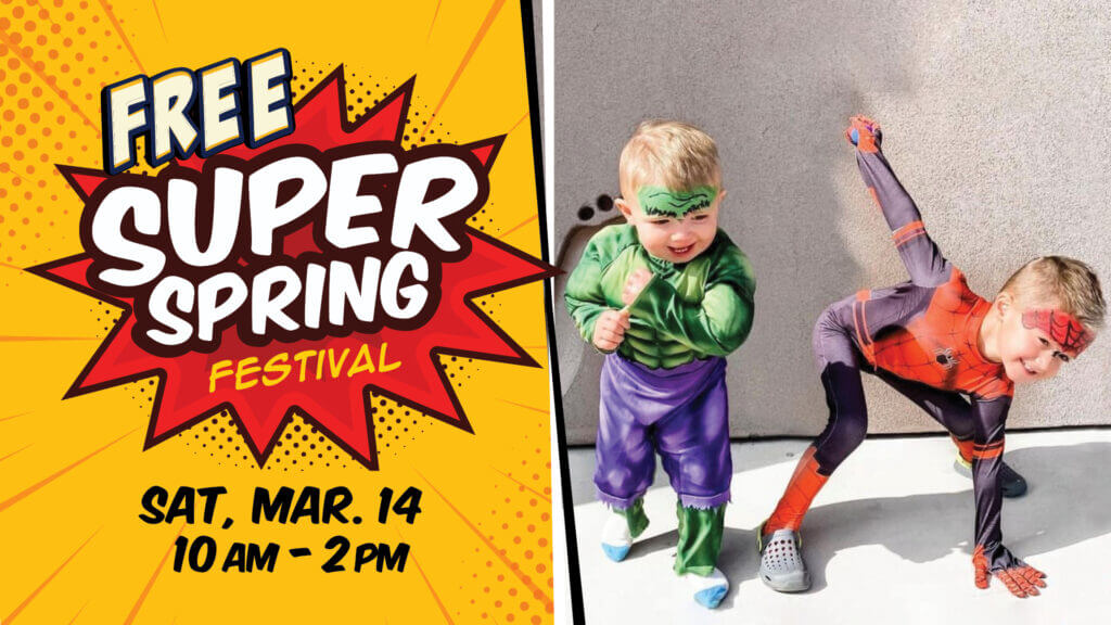 AZB Super Spring Fest